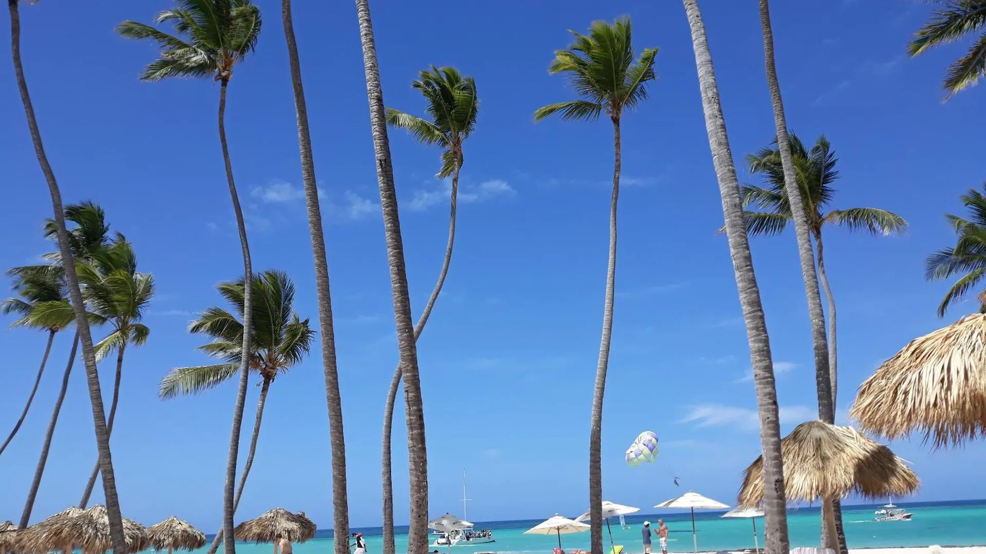 La Flor Del Caribe Beach & Spa Punta Cana 0*,  Dominican Republic