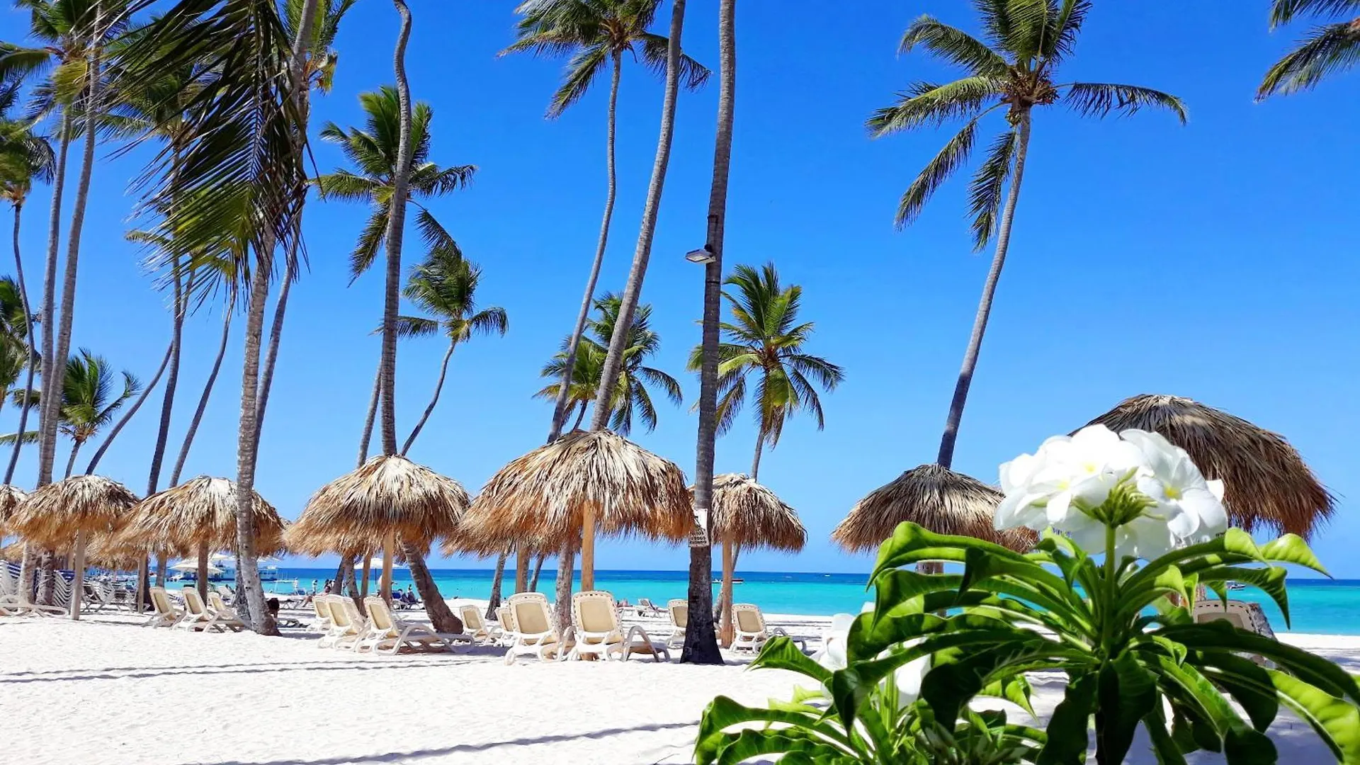 La Flor Del Caribe Beach & Spa Punta Cana 0*,  Dominican Republic