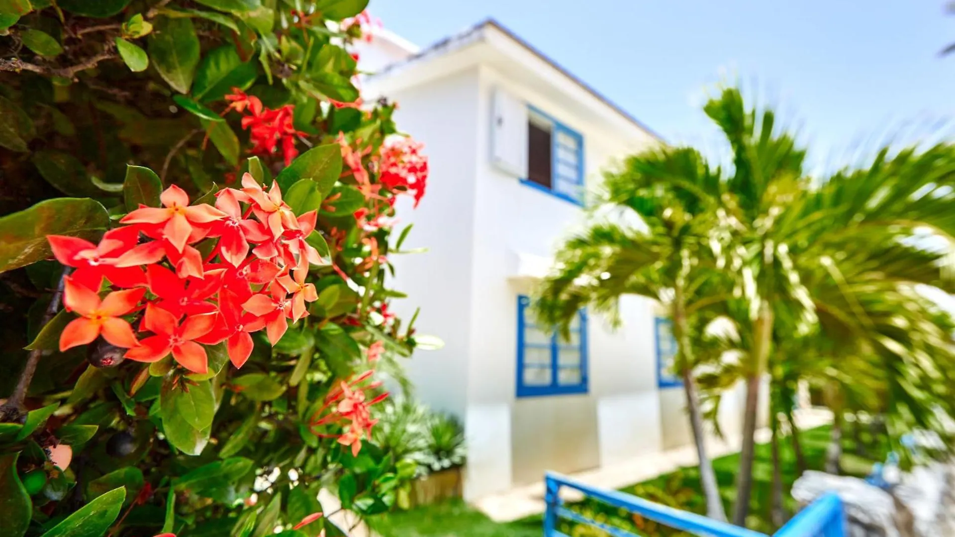 La Flor del Caribe Beach&SPA Punta Cana 0*,  Dominikanische Republik